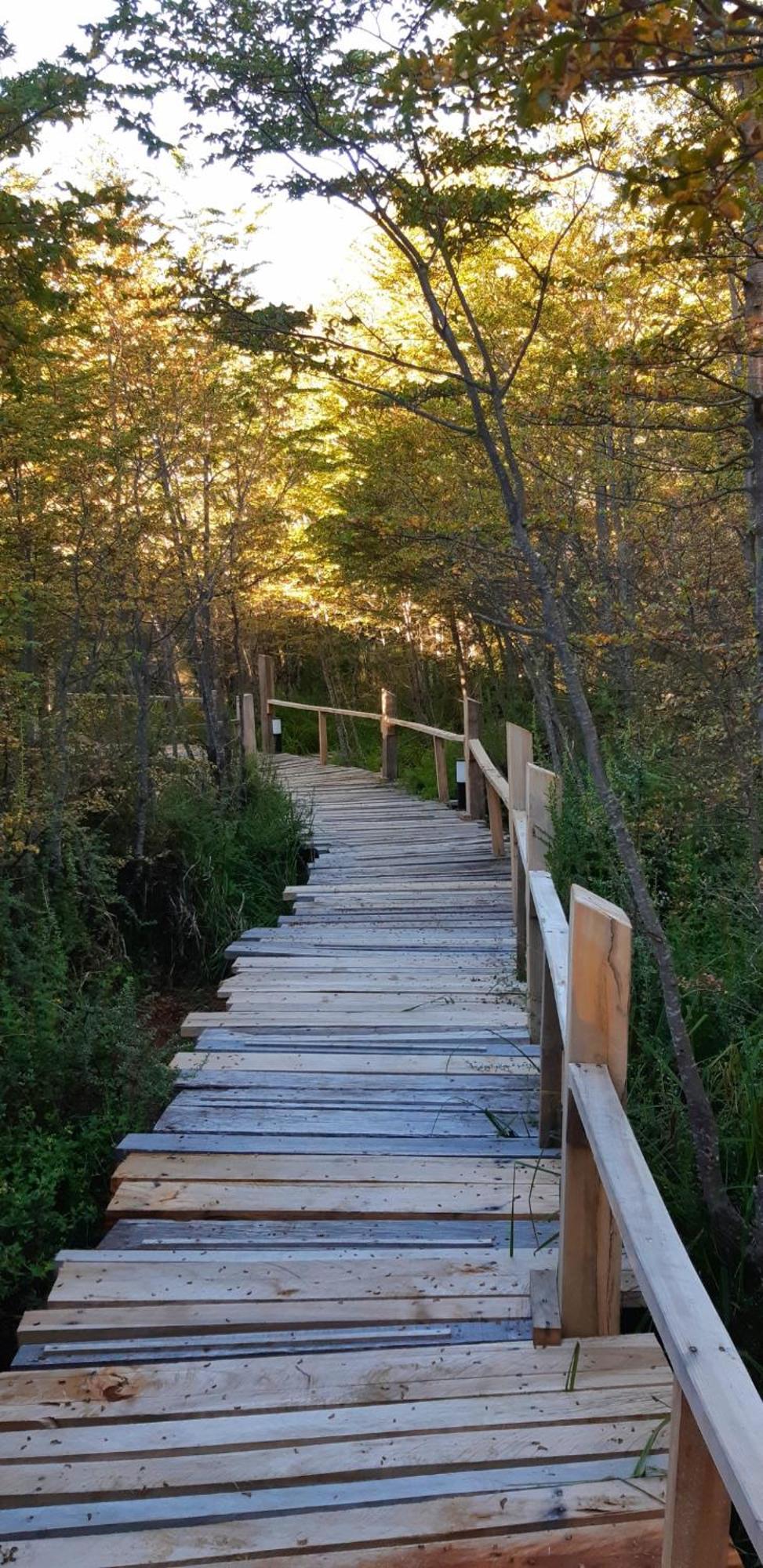 维拉·拉·安古斯图拉Nirebosque, Casas De Pueblo别墅 外观 照片